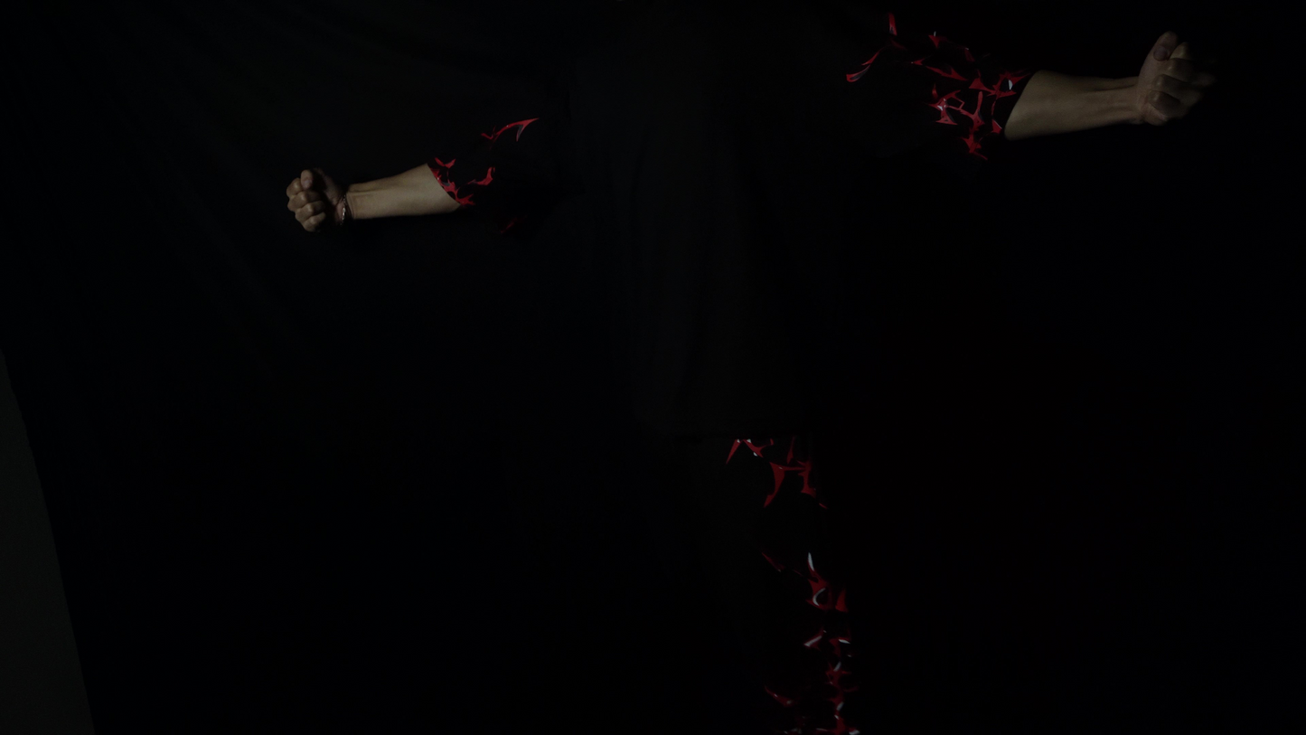 Camiseta Oversized-Crimson Veil